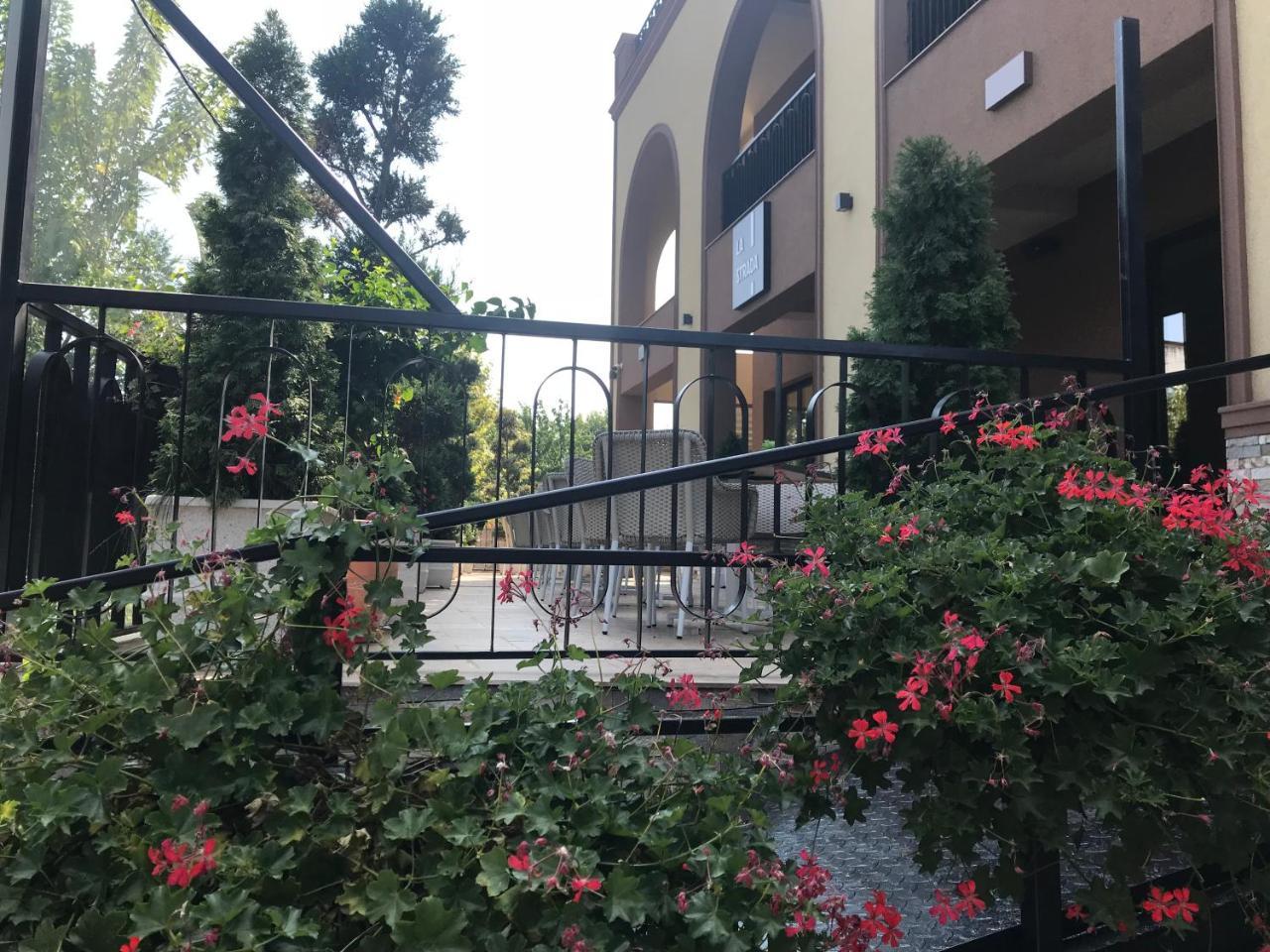 Hotel Edma アレクサンドリア エクステリア 写真